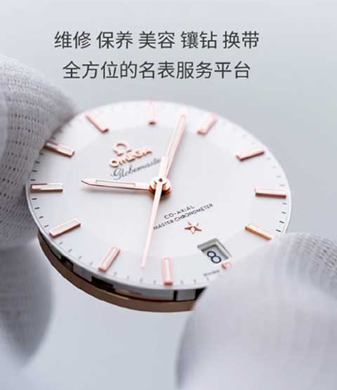 维修瓦格纳